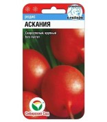 Редис Аскания (Сибсад) ц/п