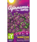 Алиссум Фиолетовая Королева (СА) ц/п