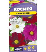Космея Сенсация (СА) ц/п