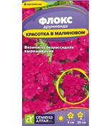 Флокс Красотка в малиновом друммонда (СА) ц/п