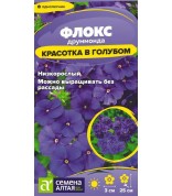 Флокс Красотка в голубом друммонда (СА) ц/п
