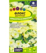 Флокс Красотка в желтом друммонда (СА) ц/п