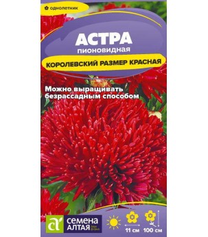 Астра Королевский размер Красная (СА) ц/п