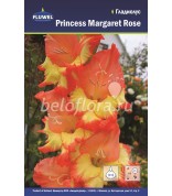 Гладиолус Princess Margaret Rose 12-14 /7