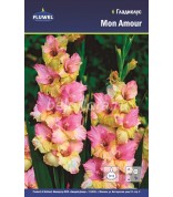 Гладиолус Mon Amour 12/14 /7