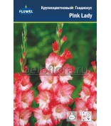 Гладиолус Pink Lady бокс 10-12 /7