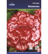 Бегония Marmorata 5-6 /2