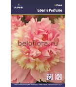 Пион Eden's Perfume /1