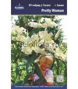 Лилия Pretty Woman ОТ 12/14 /5