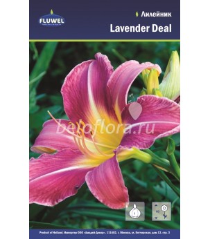 Лилейник Lavender Deal/1
