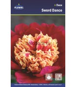 Пион Sword Dance /1