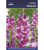 Гладиолус Purple Art 10-12 /7